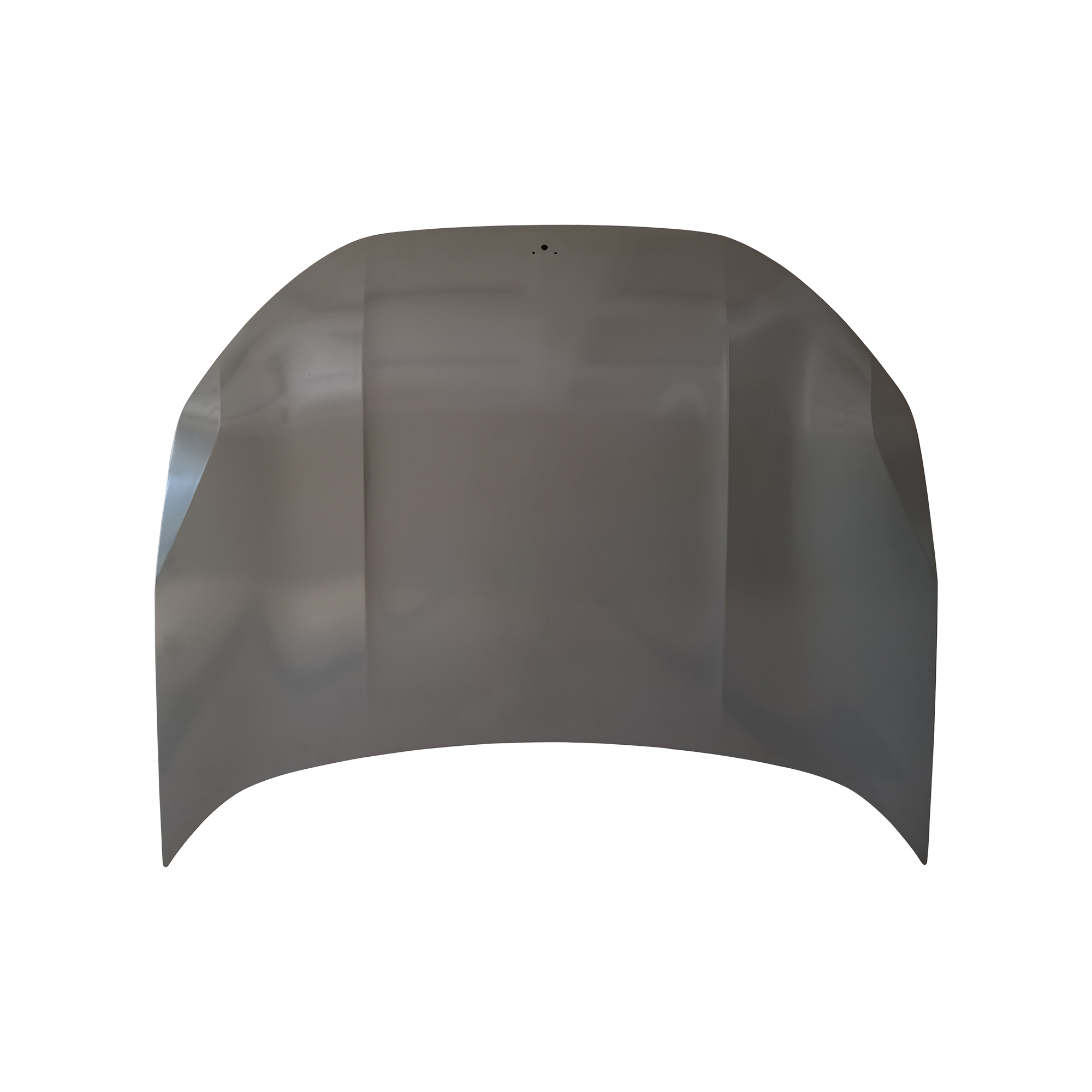 REPLACEMENT HOOD, FOR LYNK-CO 01, 8888792297