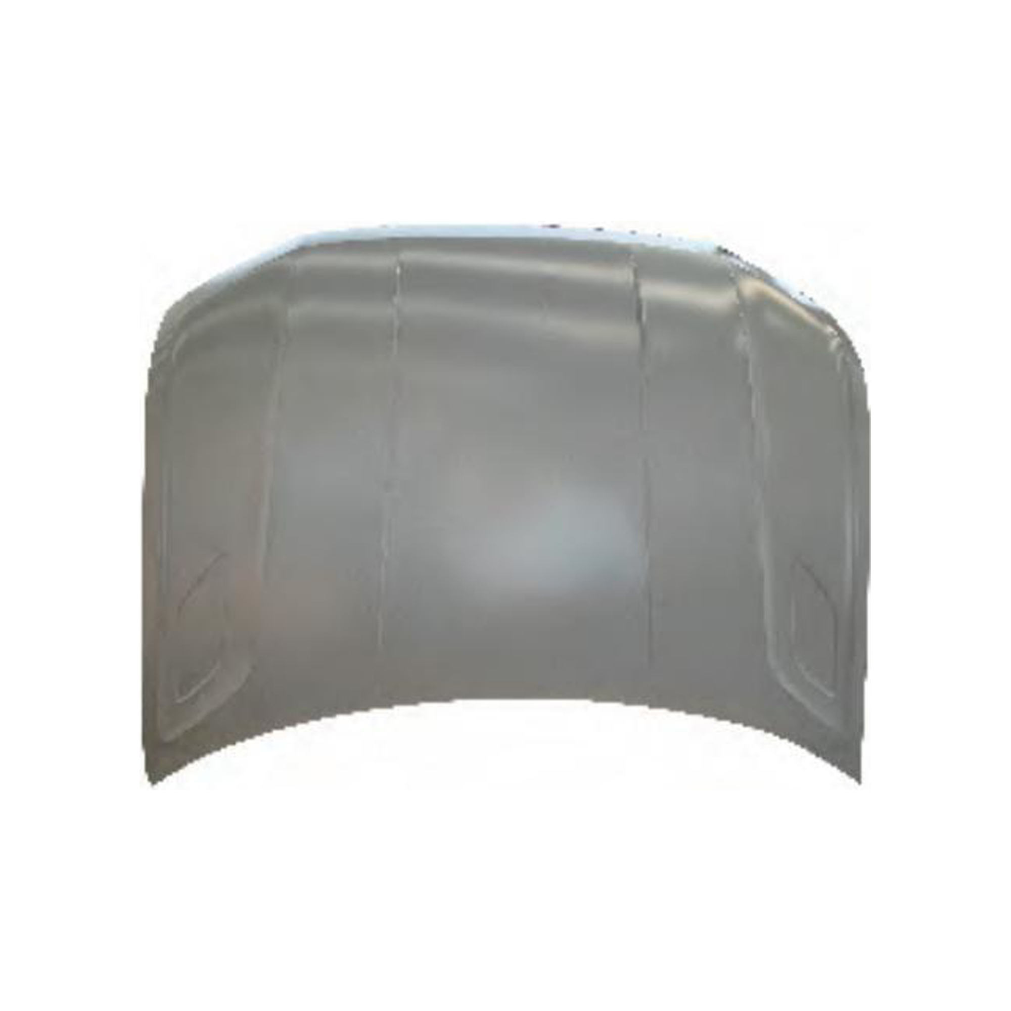 REPLACEMENT HOOD, FOR VOLKSWAGEN THARO
