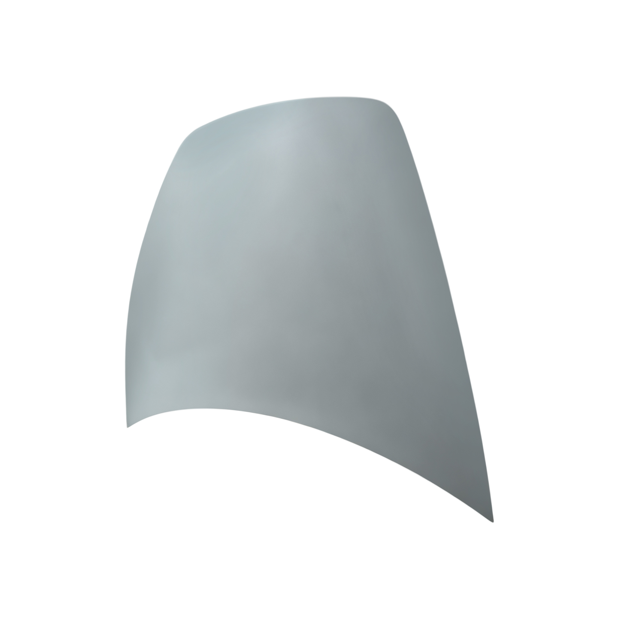 REPLACEMENT HOOD, 2025-, FOR TESLA MODEL Y, 1932550-EC-C