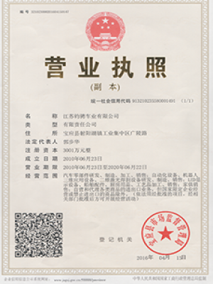 Business Licence (Duplicate Copy) 