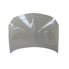 HOOD COMPATIBLE WITH BUICK REGAL 2016-