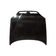 HOOD COMPATIBLE WITH DAEWOO LANOS