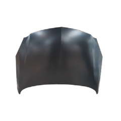 HOOD COMPATIBLE WITH BUICK REGAL 2009-2015
